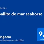 Caballito De Mar