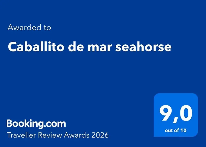 Caballito De Mar Seahorse